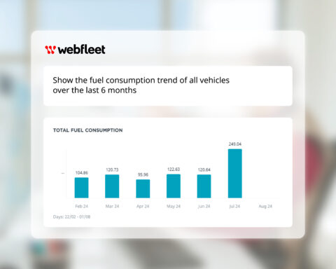 Webfleet